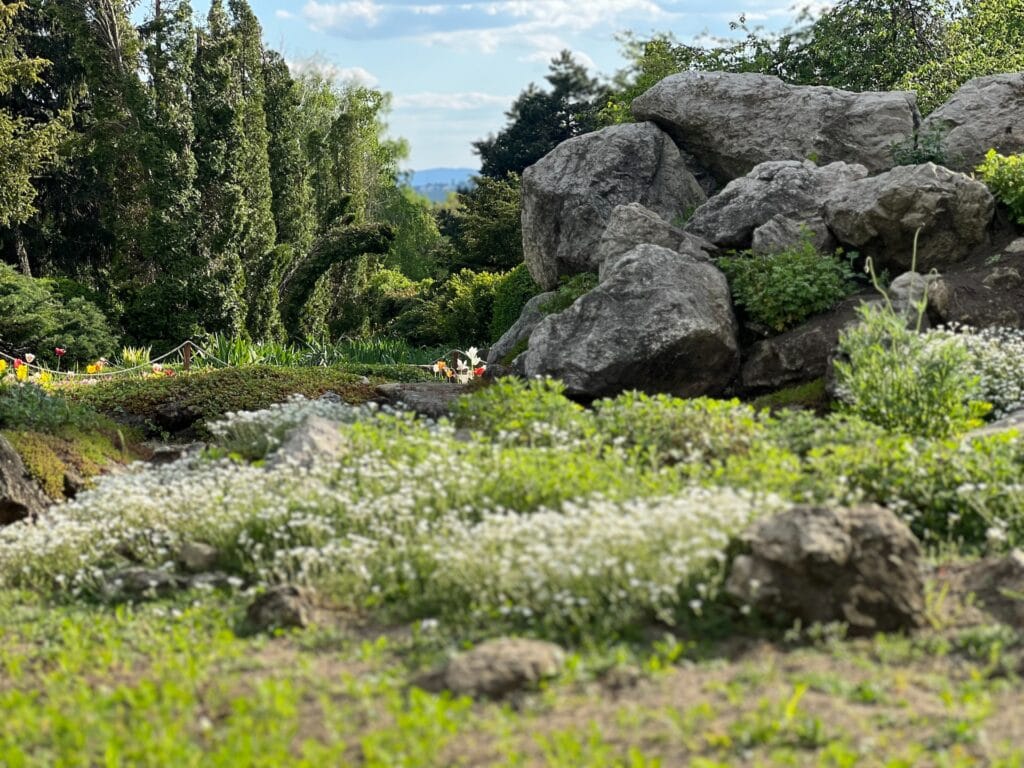 garden landscaping